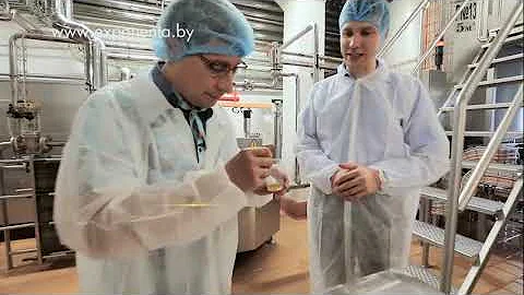 Как делают Exponenta