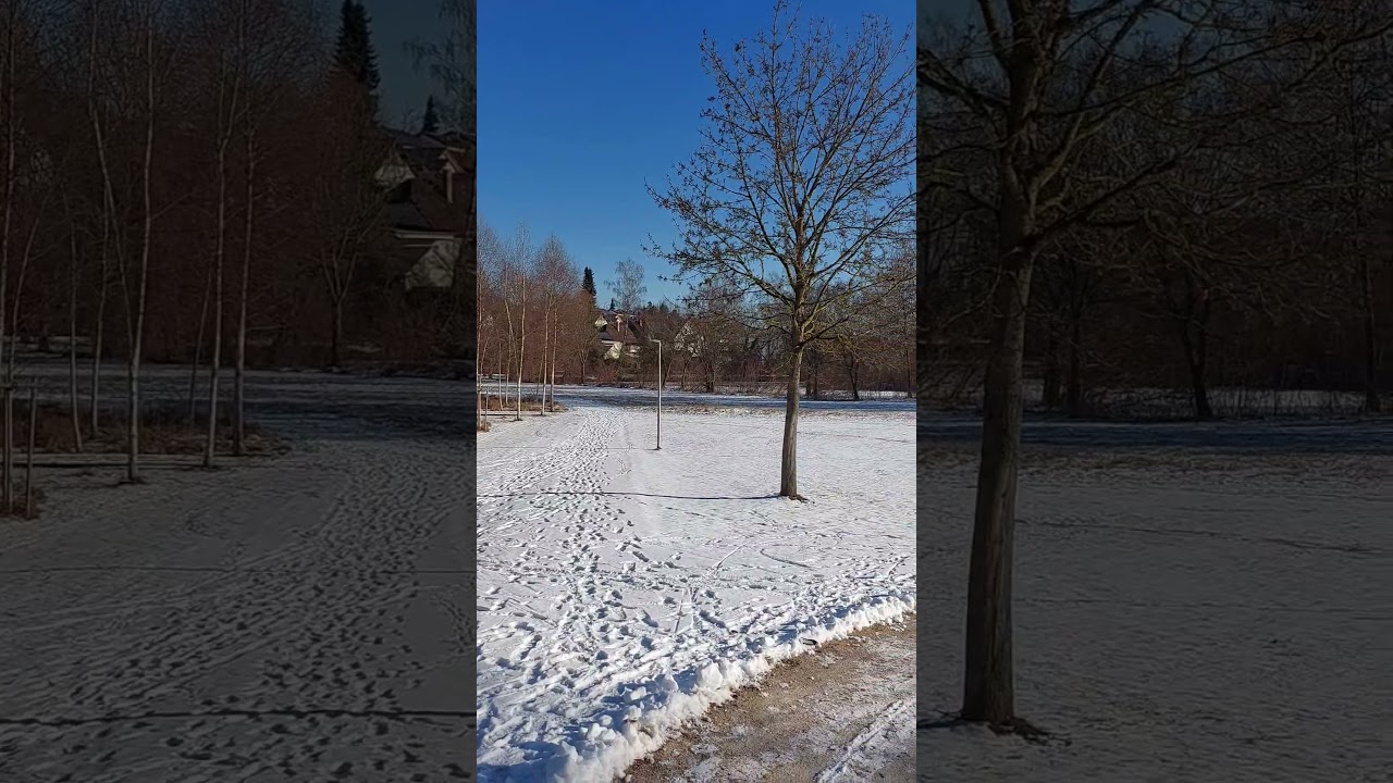 S&uuml;ddeutschland #shorts #germany #badenw&uuml;rttemberg #winter #snow #weather #sun #bluesky #amazing