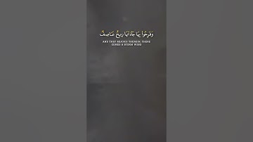 ﴿هو الذي يسيركم في البر والبحر﴾ #سورة_يونس #رعد_الكردي
