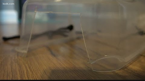 How to make your own face shield at home using kitchen items | DIY INSTRUCTIONS