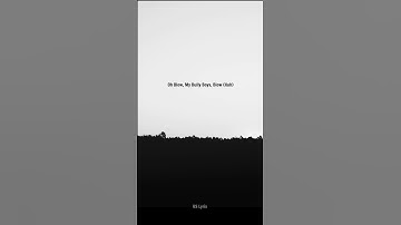 Thumbnail of Nathan Evans - (Wellerman) || Lyrics Video #shorts #uslyrix #usa