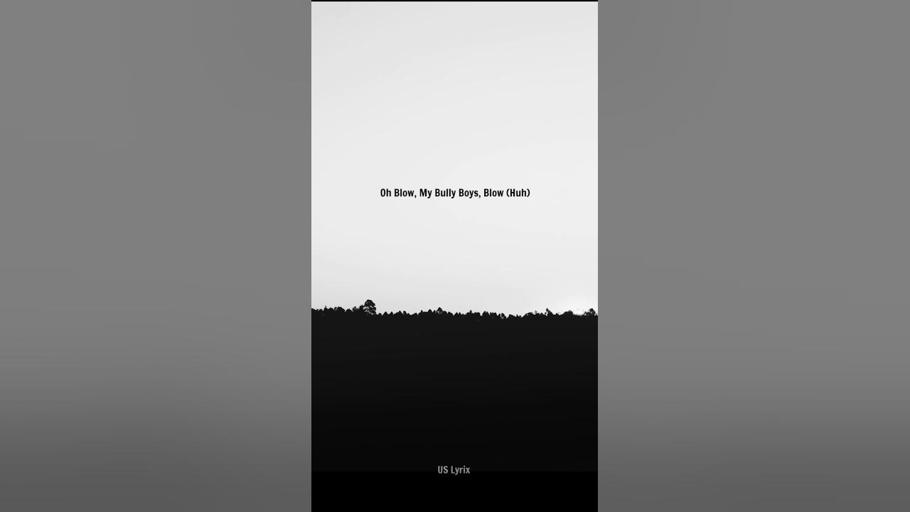 Nathan Evans - (Wellerman) || Lyrics Video #shorts #uslyrix #usa