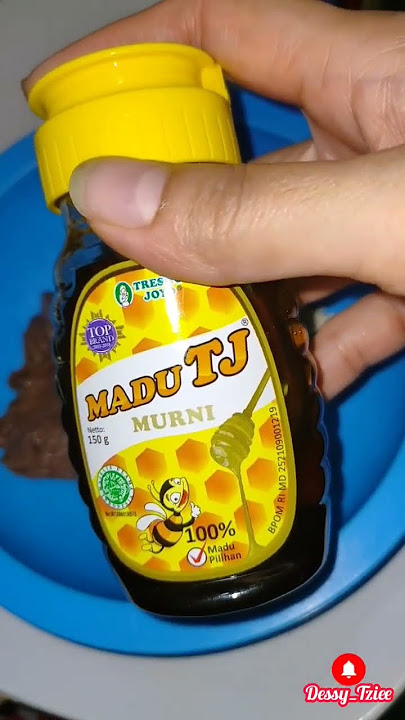 Asupan Makan Untuk Kucing Menyusui