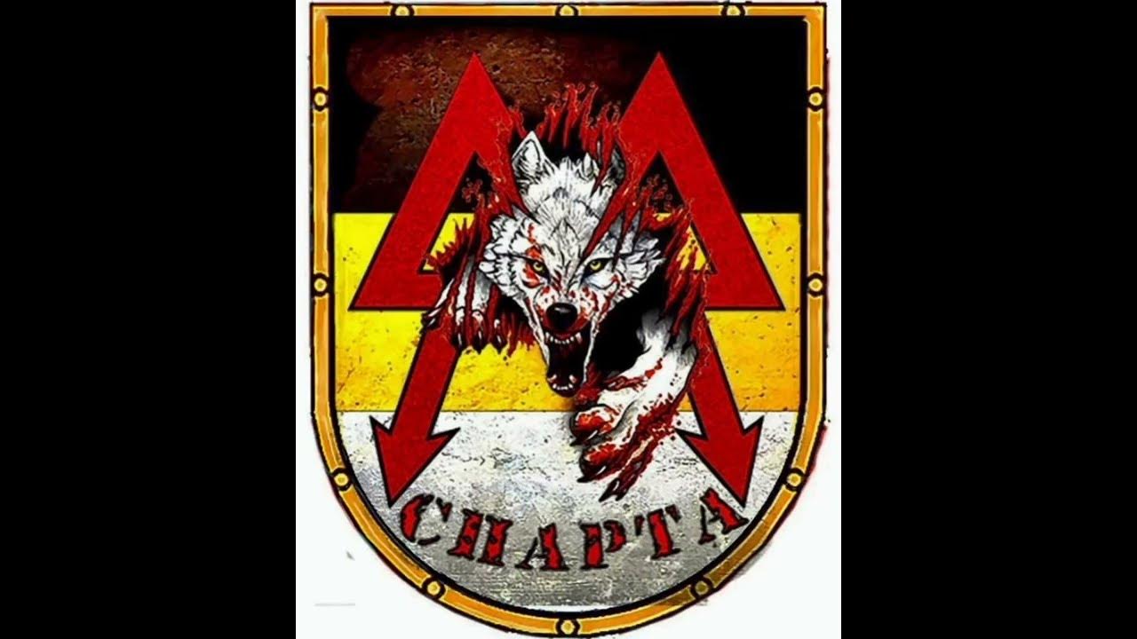 Батальон Спарта ДНР Донбасс морская пехота СВО Моторола Арсен Павлов ...