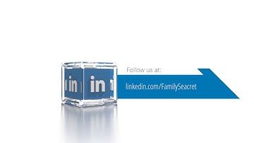 Video Gooroo - LinkedIn Social Icons Cube