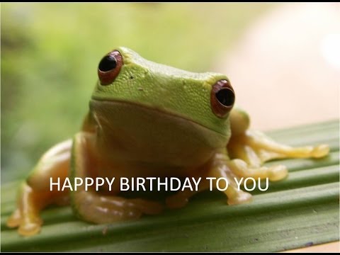 funny-frog-singing-happy-birthday