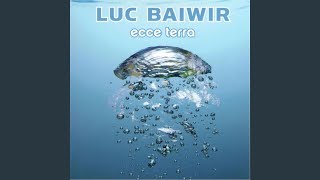 Video thumbnail of "Luc Baiwir - Raise for Freedom (Debout Citoyen)"