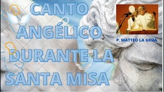 Video thumbnail of "🔴MAJESTUOSO CORO ANGÉLICO IRRUMPE EN LA SANTA MISA EN PALERMO ITALIA"