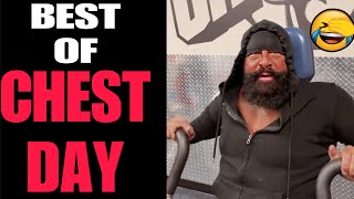 Chest Day's Greatest Hits | Robertfrank615