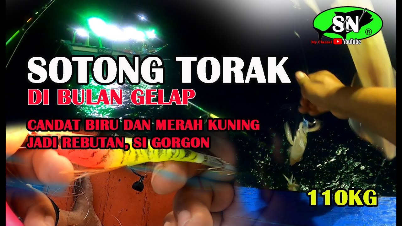 CANDAT SOTONG - 110kg serangan sotong dibulan gelap