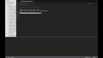 How to loop through a list in Python