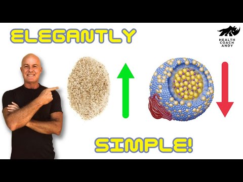 How Fiber Helps Reduce Cholesterol Blood Cholesterol Levels