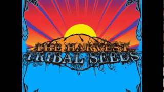 Tribal Seeds- Warning chords