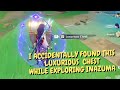 Inazuma SECRET LUXURIOUS CHEST you will not expect....