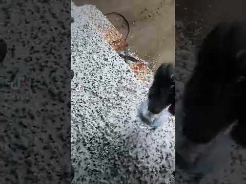 несёмная опалубка для