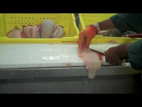 Flounder Cutting