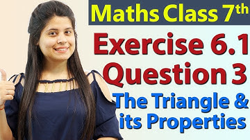 Q 3, Ex 6.1 - The Triangle and its Properties - Chapter 6 - Maths Class 7th - NCERT