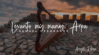 Levanto Mis Manos (Arpa) Feat. Angel Tolosa