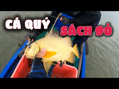 Video vừa kéo câu gặp ÔNG BÀ NƯỢC tưởng thất bát nhưng ÔNG... - youtube