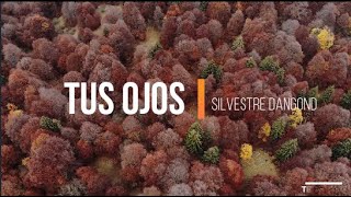 Silvestre Dangond - Tus Ojos (Letra/Lyrics)