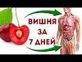 Что будет, если ЕСТЬ ВИШНЮ в течение 7 дней? О самом главном - о здоровье!