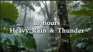 Heavy Rain in the Forest for Deep Sleep | ASMR Rain Sounds 10 Hours