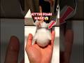 This Soap Dispenser Creates a Kitten Bubble?!#foamsoap #satisfyingvideo #cuteanimals