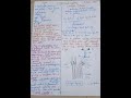 complement system activation (classical pathway)