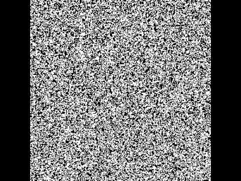 Wolff's algorithm random unbiased start J = 0.005 T = 300