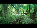Monkey In The Jungle Rap Reggae Beat 78BPM Prod By Em3World Reupload 