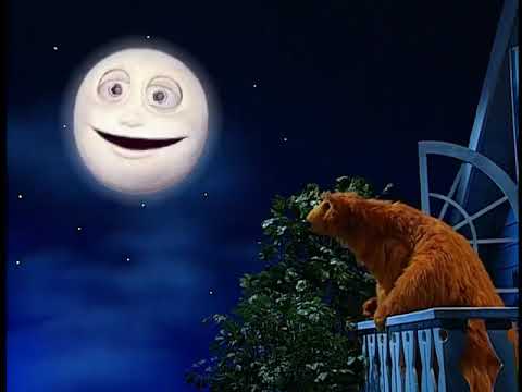 BEAR IN THE BIG BLUE HOUSE DANCING THE DAY AWAY BEAR TELLS LUNA ABOUT DANCING