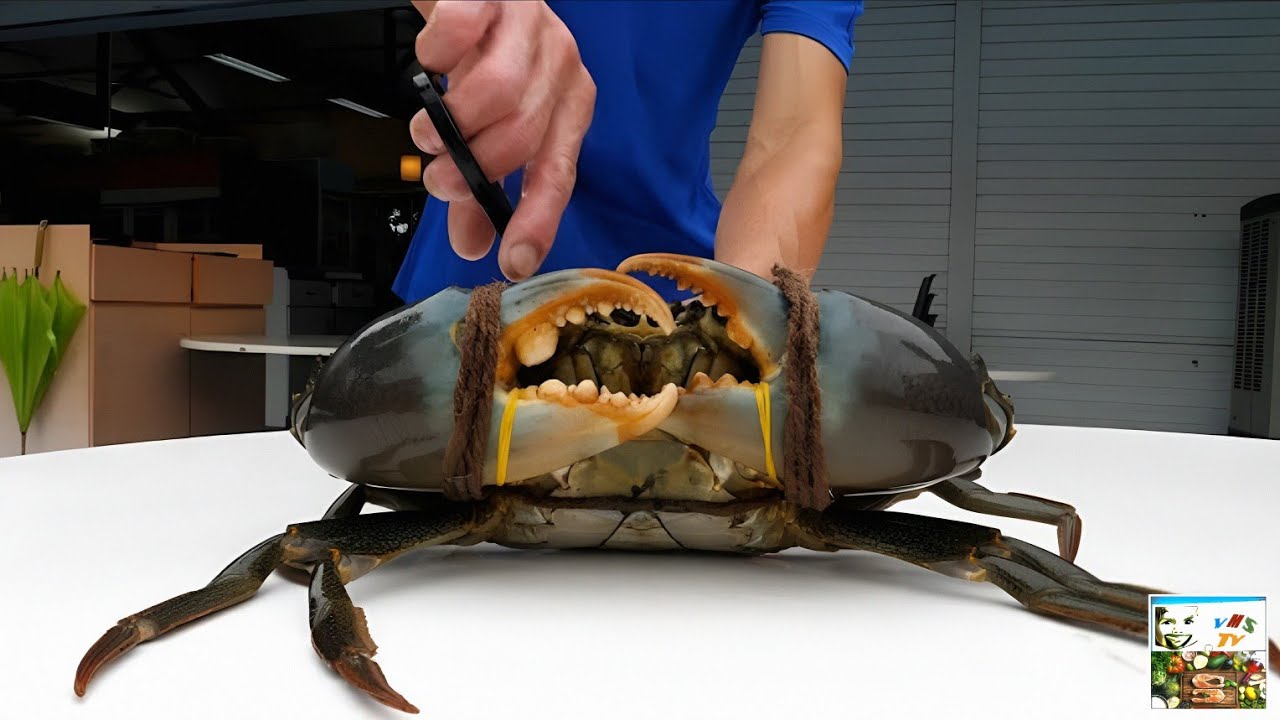 Instant SEAFOOD Dishes, Chili CRAB 🦀 | Блюда из МОРЕПРОДУКТОВ Быстрого Приготовления, ЧИЛИ-КРАБ 🦀 