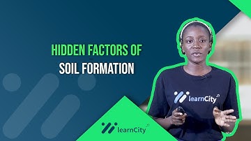 Soil Formation: Factors That Control Soil Formation |Agricultural Science| WAEC| NECO| JAMB