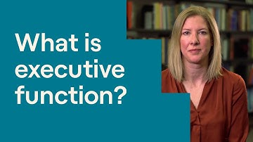 What Is Executive Function?