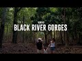 We took a plunge in the rock pool at the black river gorges national park mauritius  vlog 3