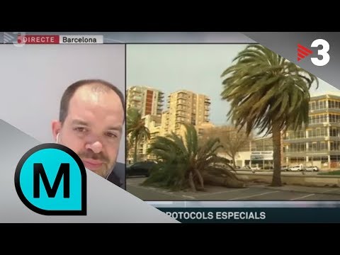 Vídeo: Com paguen les reclamacions les companyies asseguradores?