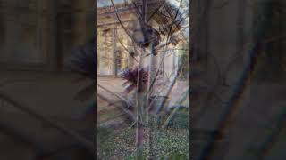 Beneath The Rhinestones Lies The Heart Of A Hunter Zoe In Action