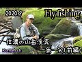 【フライフィッシング】2020.9/信濃の山岳渓流/一魚一会/前編/ARCADIAさんゴメン