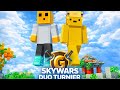 200€ SKYWARS 2VS2 TURNIER ANKÜNDIGUNG