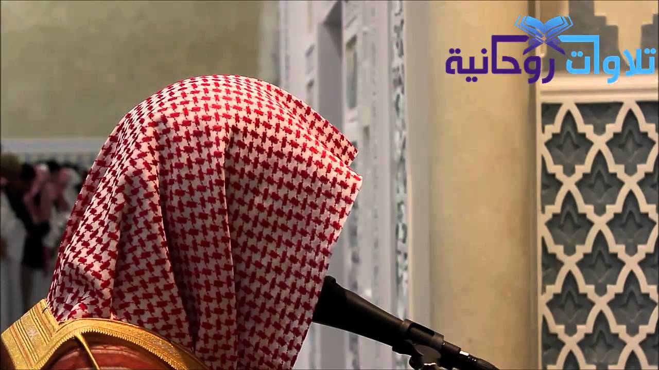 [ قُل كُونُواْ حِجَارَةً أَوْ حَدِيداً ] عشائية هادئة للشيخ ناصر القطامي