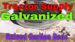 Tractor Supply Galvanized Raised Garden Beds