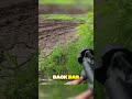 Добровольцы из Британии и США уничтожили российский БТР в Украине #Война #БТР