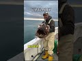 The Sea’s Greatest Secret: A Monster Revealed