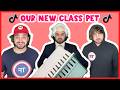 Top 100 TikToks From 2026 Our New Class Pet Tone France TikTok Compilation 83 