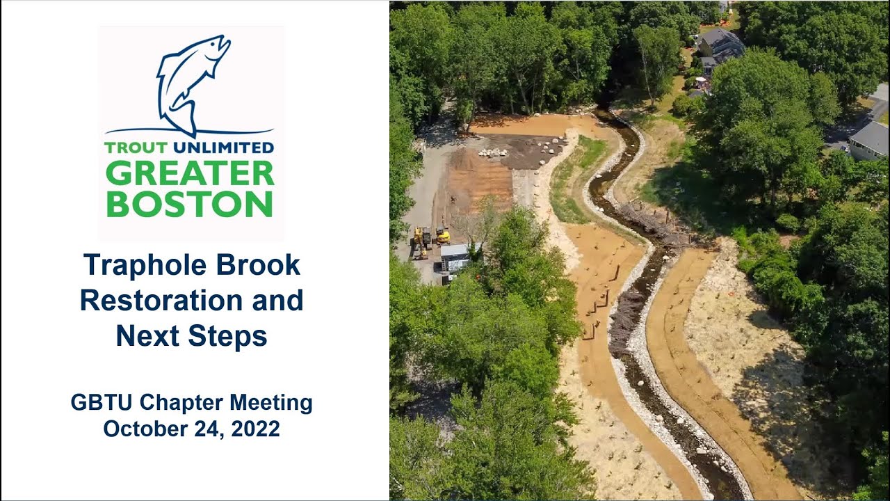 Traphole Brook Restoration and Next Steps