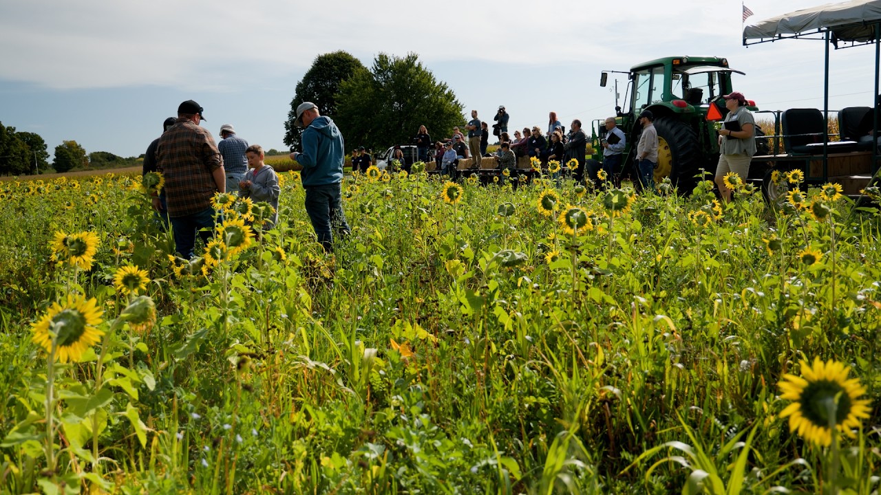Cover crop project bridges farming and research to bolster soil, protect  water | University of Michigan News