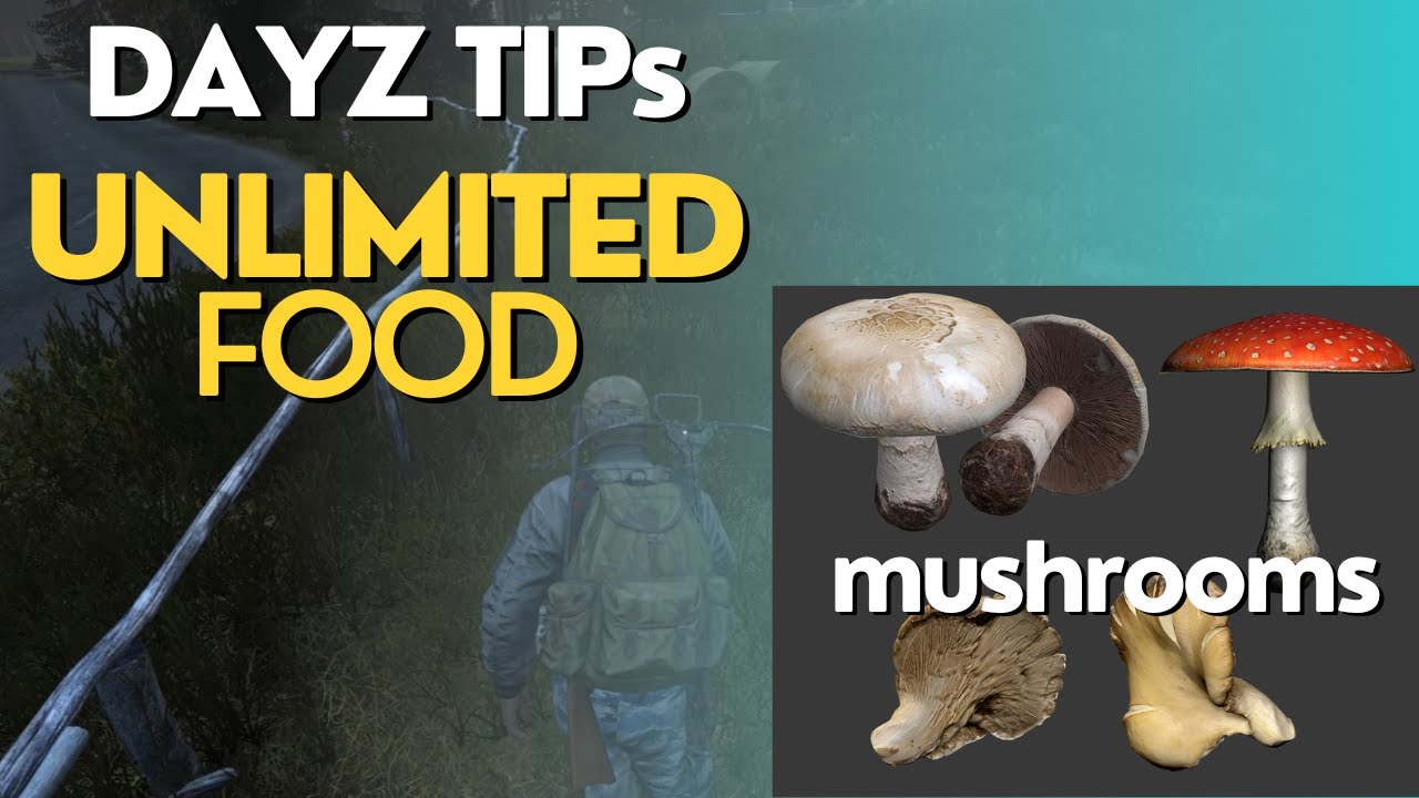 Dayz tips FOOD YouTube