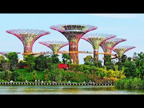 Vidéo: Jardins de Singapour par la baie