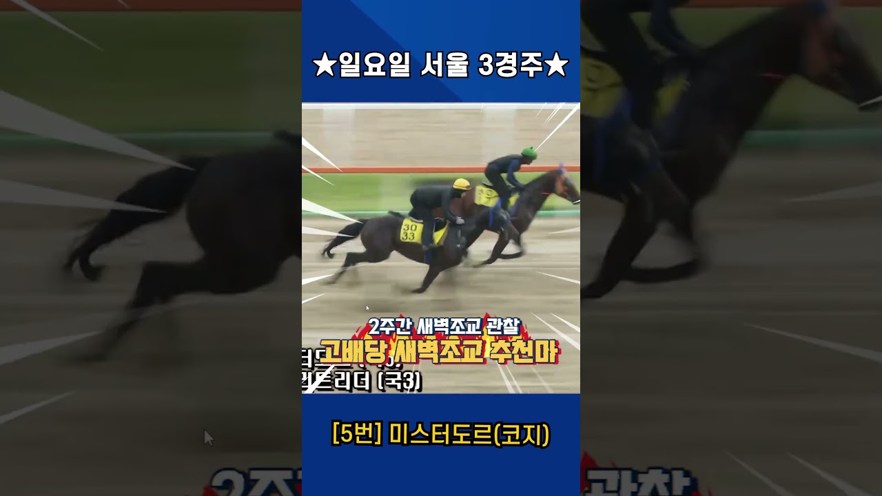 7월12일 일요일 서울 3경주!! 2주간 훈련보인 강백호의 새벽조교 쏘스마!!