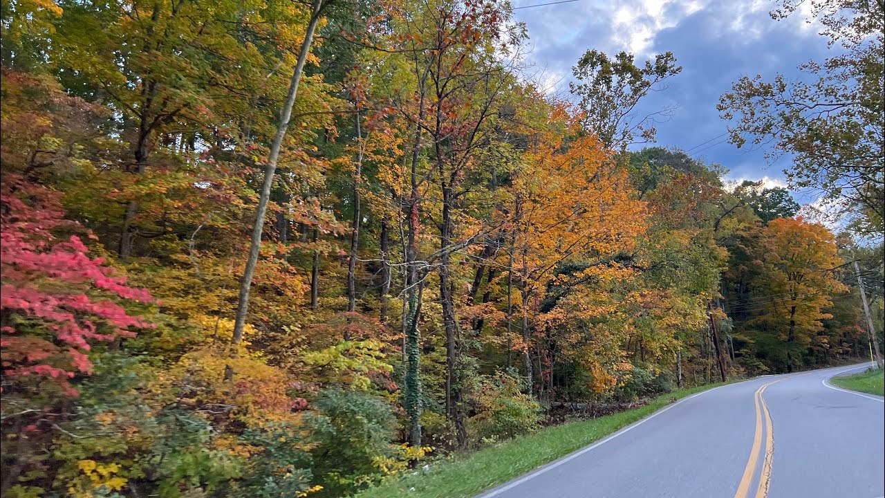 Fall Foliage Scenic Drive Country Road in Virginia 2023